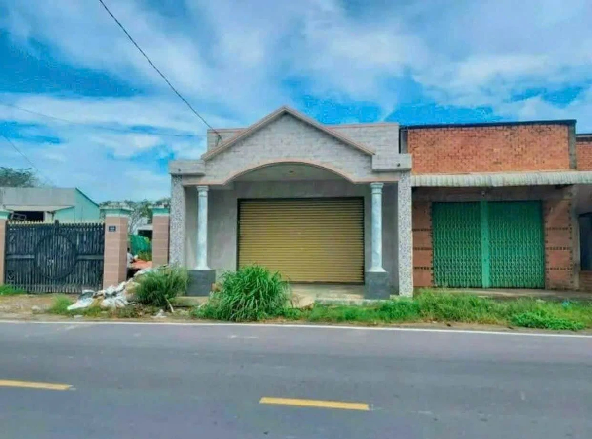 Bán nhà mái Thái 2 PN, 240 m², Bình Chánh, 3 tỷ 350 triệu - Ảnh 1