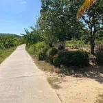 Bán đất mặt tiền view sông Hương 425m2 Huế - Ảnh thu nhỏ 4