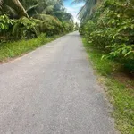 Bán 6 công đất vườn dừa Lộc Thuận Vĩnh Long, 2,7 tỷ - Ảnh thu nhỏ 1
