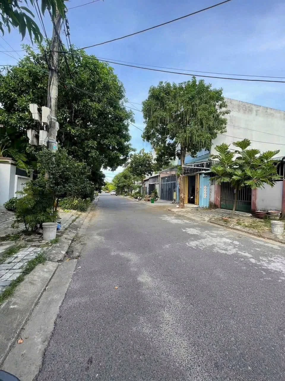 Bán đất 100m² Hoàng Minh Giám Hòa Xuân Đà Nẵng 3.9 tỷ - Ảnh 1