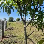 Bán đất 900m² Thôn 2 Hàm Liêm, Phan Thiết 479 triệu - Ảnh thu nhỏ 3