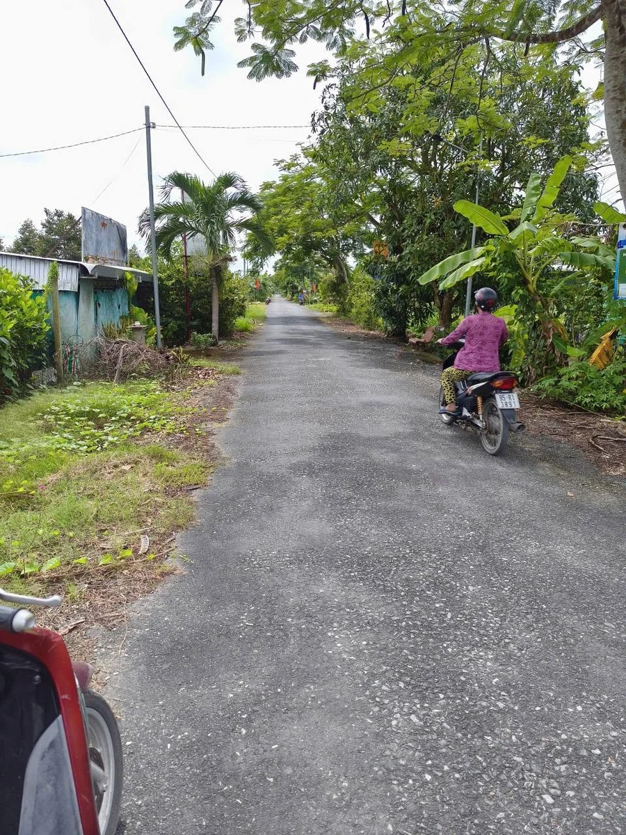 Bán vườn sầu riêng 26.000m2 có sẵn 430 cây, Trường Long, Phong Điền, Cần Thơ - Ảnh thu nhỏ 5