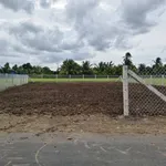 Bán đất Gò Công 466m² sổ hồng, mặt đường - Ảnh thu nhỏ 3