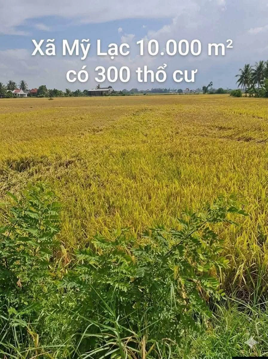 Bán đất lúa 10.000 m² (1 mẫu) ở Mỹ Lạc, Long An - Ảnh thu nhỏ 2