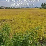 Bán đất lúa 10.000 m² (1 mẫu) ở Mỹ Lạc, Long An - Ảnh thu nhỏ 2