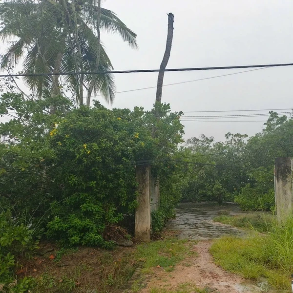 Bán đất mặt tiền Tây Ninh 1,116 m² giá 1,3 tỷ