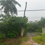 Bán đất mặt tiền Tây Ninh 1,116 m² giá 1,3 tỷ - Ảnh thu nhỏ 1