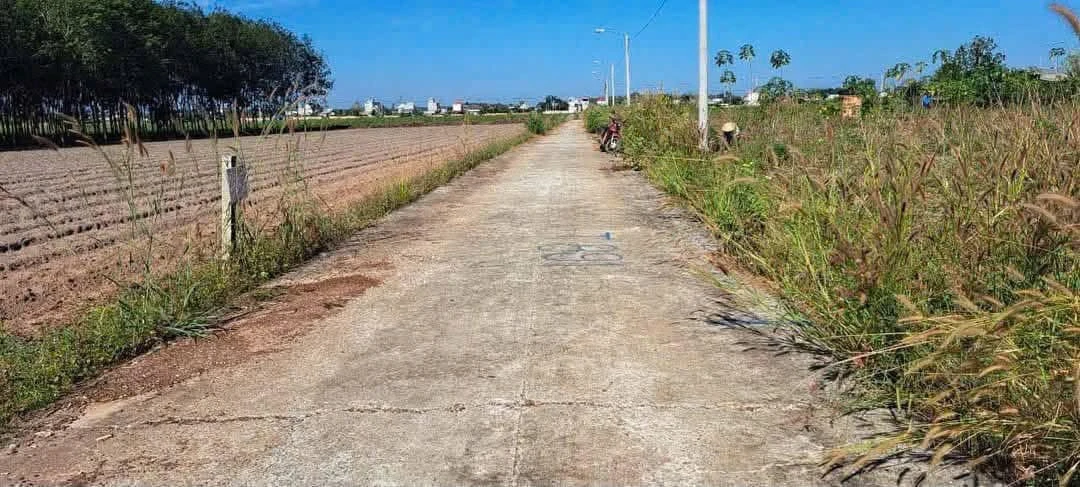 Bán đất mặt tiền đường Nha Bích Nhà Bè 100m² - Ảnh thu nhỏ 2