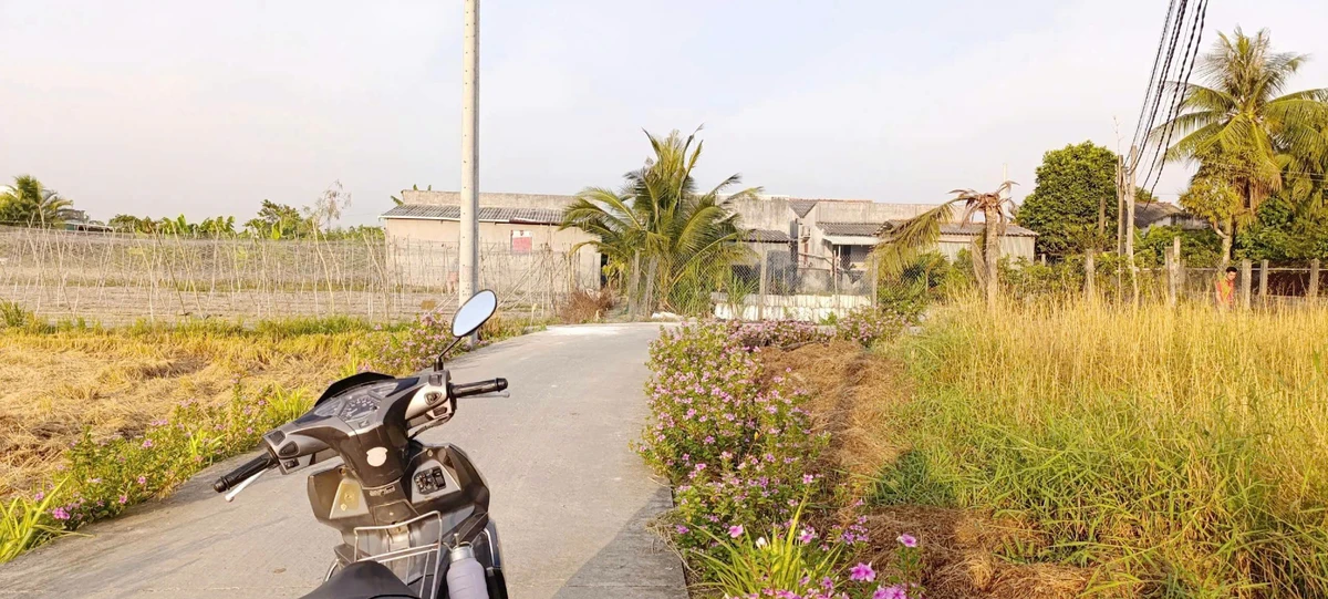 Bán đất thổ cư 350m2 lô góc 2 mặt tiền giá 990 triệu tại Bình Trinh Đông, Tân Trụ, Long An - Ảnh thu nhỏ 2
