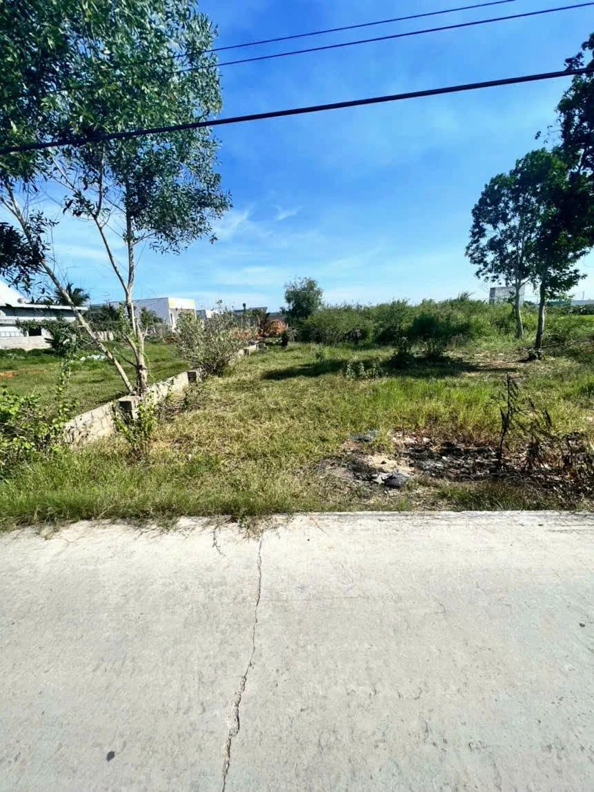 Bán đất thổ cư 408m² ngang 22m Hàm Liêm, Phan Thiết - Ảnh thu nhỏ 2