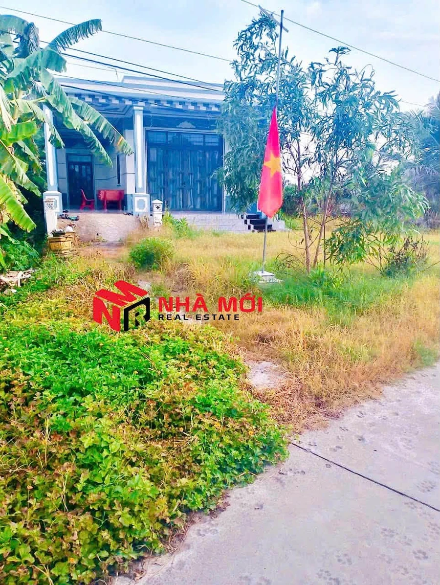 Bán nhà cấp 4 đất rộng 1.175m² 1,2 tỷ Cà Mau - Ảnh thu nhỏ 5