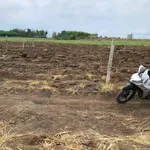 Bán 1 sào đất Hưng Thịnh Đồng Nai 1000m² chỉ 490 triệu - Ảnh thu nhỏ 2