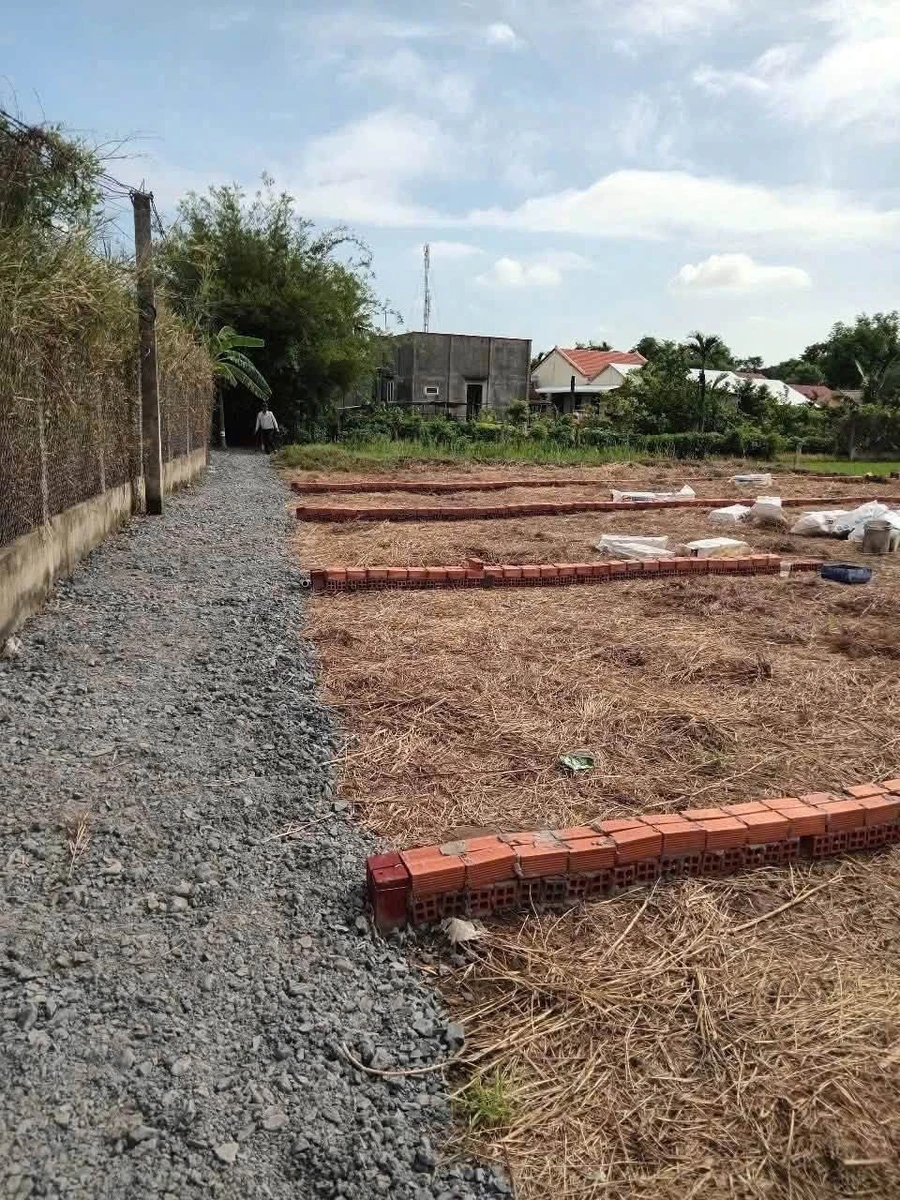Bán 5 lô đất nền Mỹ Lệ Cần Đước Long An 112.5m² - Ảnh thu nhỏ 3