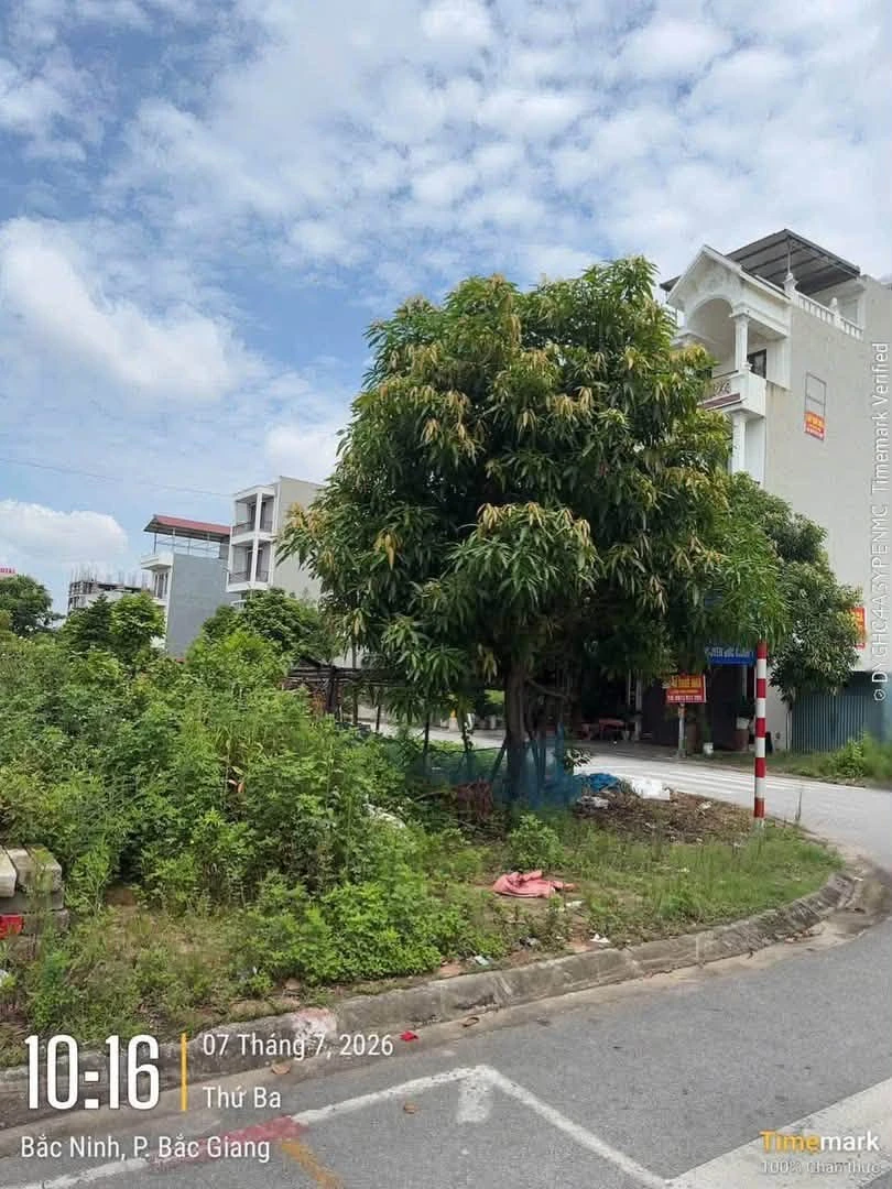 Bán nhà mặt tiền 6m, 108m² KDT Bắc Giang hơn 8 tỷ - Ảnh thu nhỏ 2