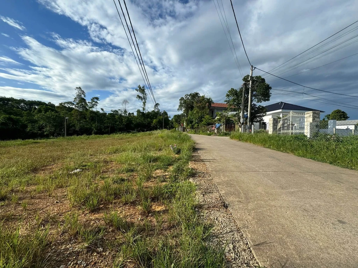 Bán đất kiệt ô tô 123m² Đại Nam Bình Tân 1,1 tỷ - Ảnh thu nhỏ 4