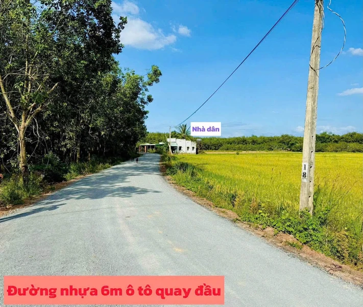 Bán đất mặt tiền Tây Ninh 250m² 189 triệu