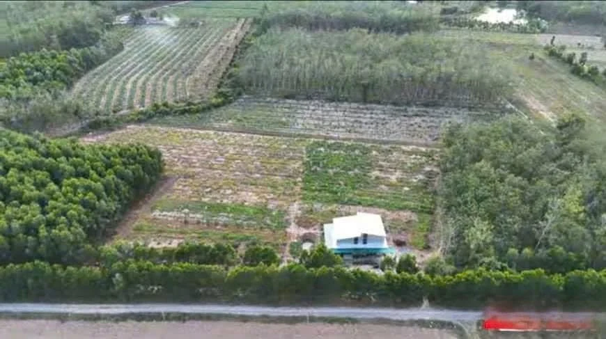 Cho thuê/bán đất vườn 8500m² tại Tây Ninh - Ảnh thu nhỏ 2