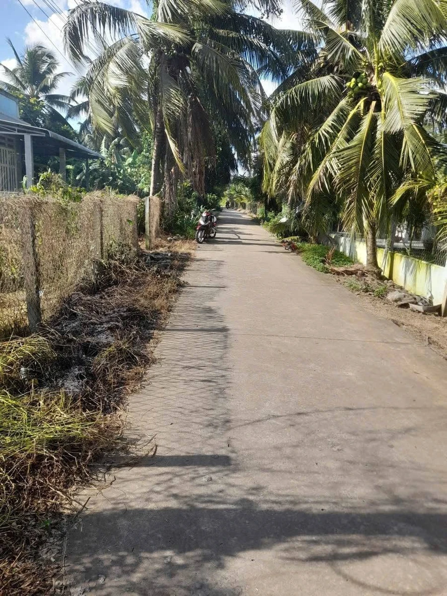 Bán đất 2264m² mặt tiền Phong Nẫm, Nhà Bè, 2 tỷ 2 - Ảnh thu nhỏ 2