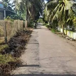 Bán đất 2264m² mặt tiền Phong Nẫm, Nhà Bè, 2 tỷ 2 - Ảnh thu nhỏ 2