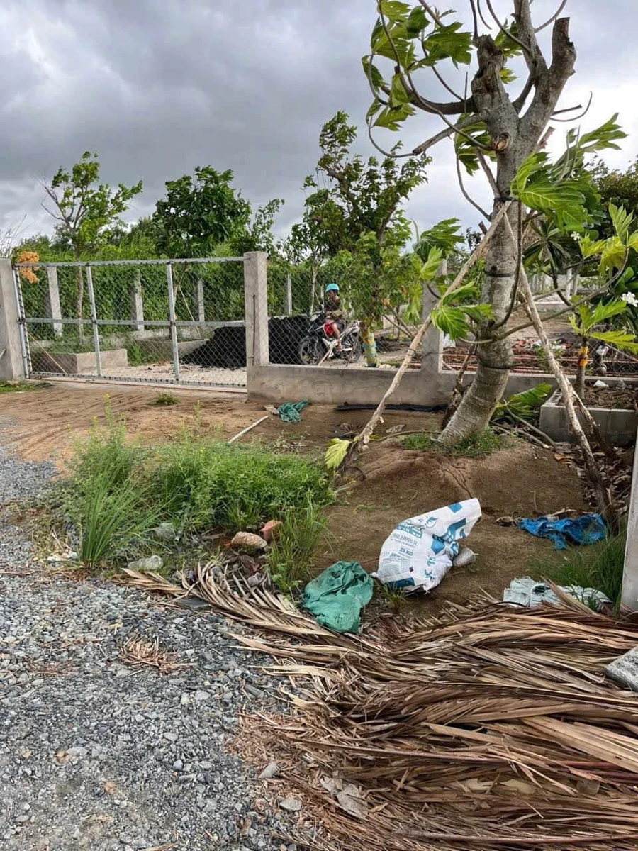 Bán lô đất vườn 3.000m² Xã Thạnh Hòa Bến Lức Long An - Ảnh thu nhỏ 3