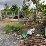 Bán lô đất vườn 3.000m² Xã Thạnh Hòa Bến Lức Long An - Ảnh thu nhỏ 3