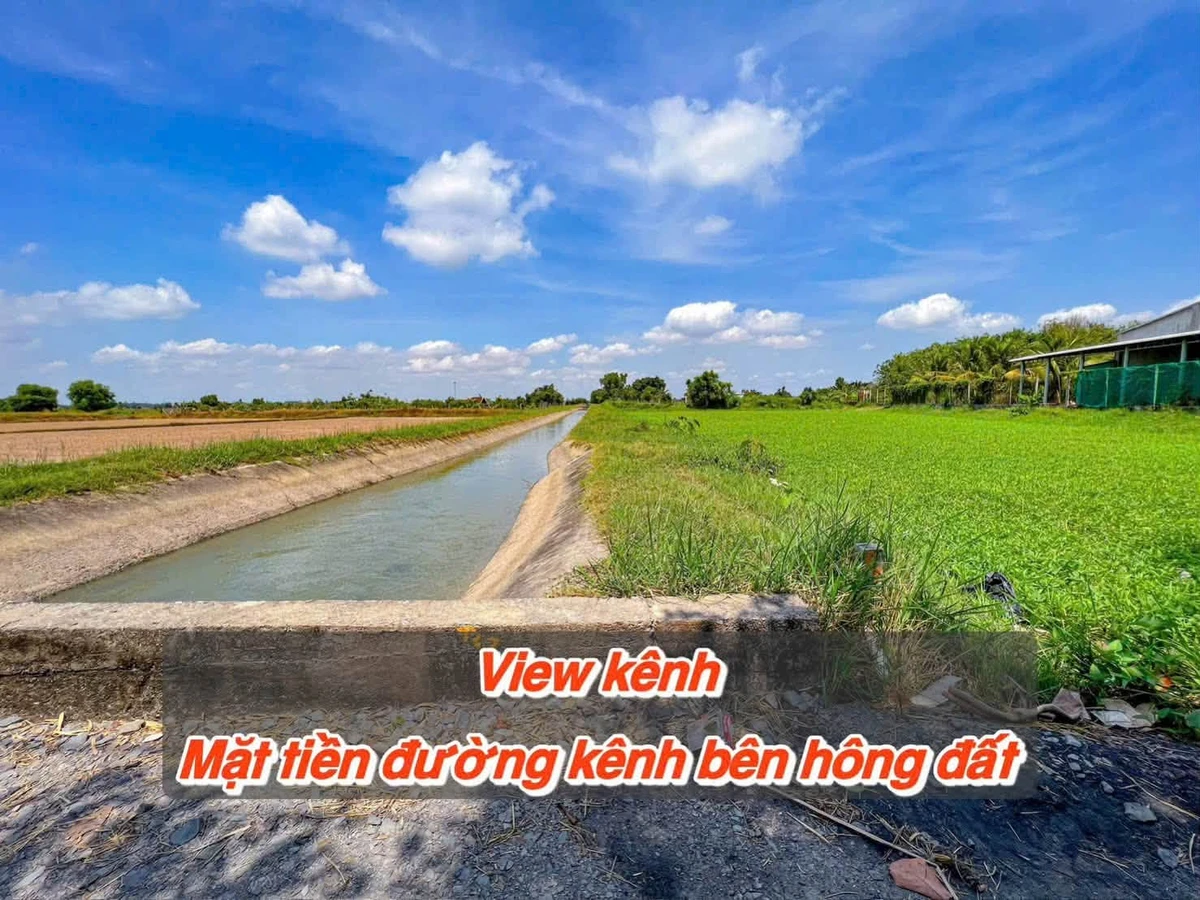 Bán đất Phước Trạch 1746m² thổ cư 1222m² Gò Dầu - Ảnh thu nhỏ 4