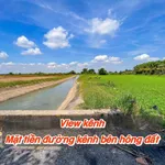 Bán đất Phước Trạch 1746m² thổ cư 1222m² Gò Dầu - Ảnh thu nhỏ 4
