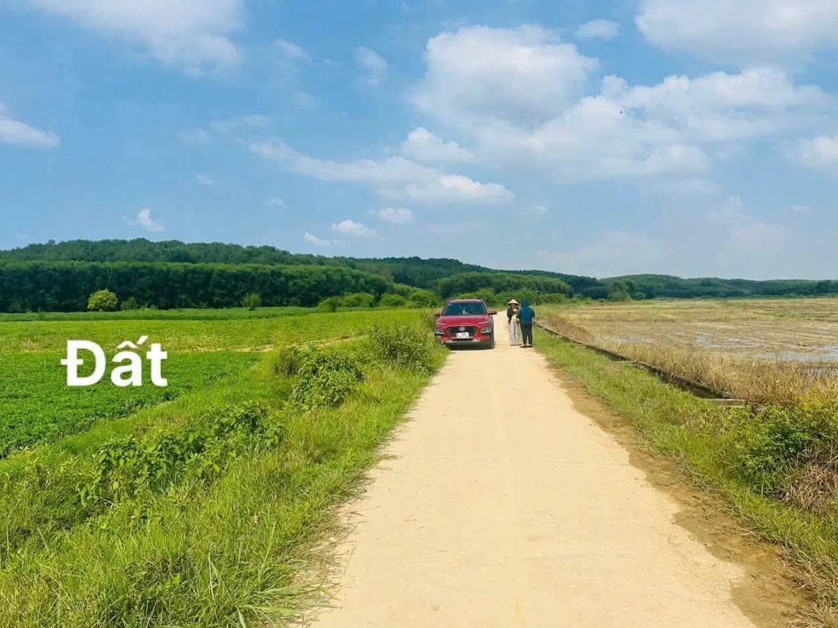 Bán lô đất 900m² mặt đường bê tông, sau lưng giáp sông tại Phong Sơn, Huế - Ảnh thu nhỏ 3