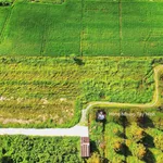 980tr, 1000m2 có thổ cư gần hết đất, gần dự án KCN Hiệp Thạnh, đường bê tông - Ảnh thu nhỏ 4