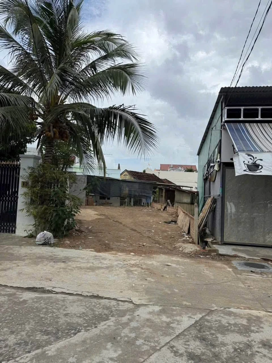 Bán lô đất mặt tiền Gò Chùa 143,3m2, Bình Chánh 3,55 tỷ - Ảnh thu nhỏ 3