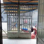 Bán nhà gác lửng gần chợ Gò Dầu 40.7m² 450 triệu - Ảnh thu nhỏ 1