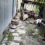 Bán nhanh đất 5x60m giá 470 triệu, lộ 4m sau lưng Công ty Minh Phú, Cà Mau - Ảnh thu nhỏ 3