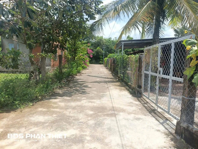 Bán đất vườn CLN 753,9m² tại Hàm Liêm, Phan Thiết