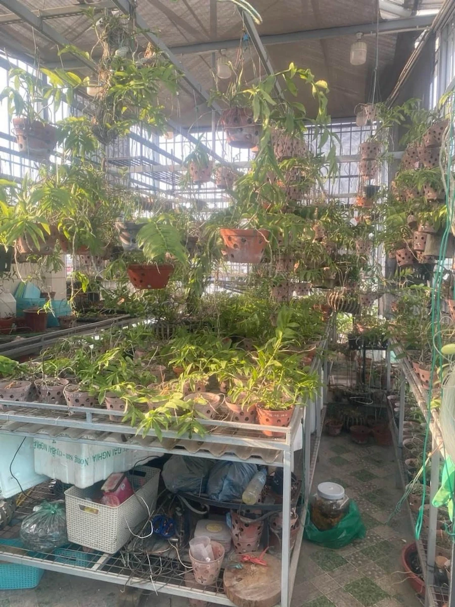 Bán phân lô ô tô góc 50m2 8 tầng, Đống Đa, Ba Đình - Ảnh thu nhỏ 5