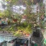 Bán phân lô ô tô góc 50m2 8 tầng, Đống Đa, Ba Đình - Ảnh thu nhỏ 5