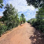 Bán đất 5x28m thổ cư 60m2 đường nhựa quy hoạch 12m thôn 6 Cuêbur, Buôn Ma Thuột - Ảnh thu nhỏ 1