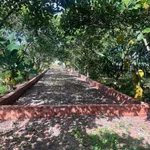 Bán lô đất 200m2 đường N1 Chơn Thành - Ảnh thu nhỏ 3
