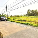 Bán đất 1500m² mặt tiền Long An, giá 750 triệu/1000m² - Ảnh thu nhỏ 2