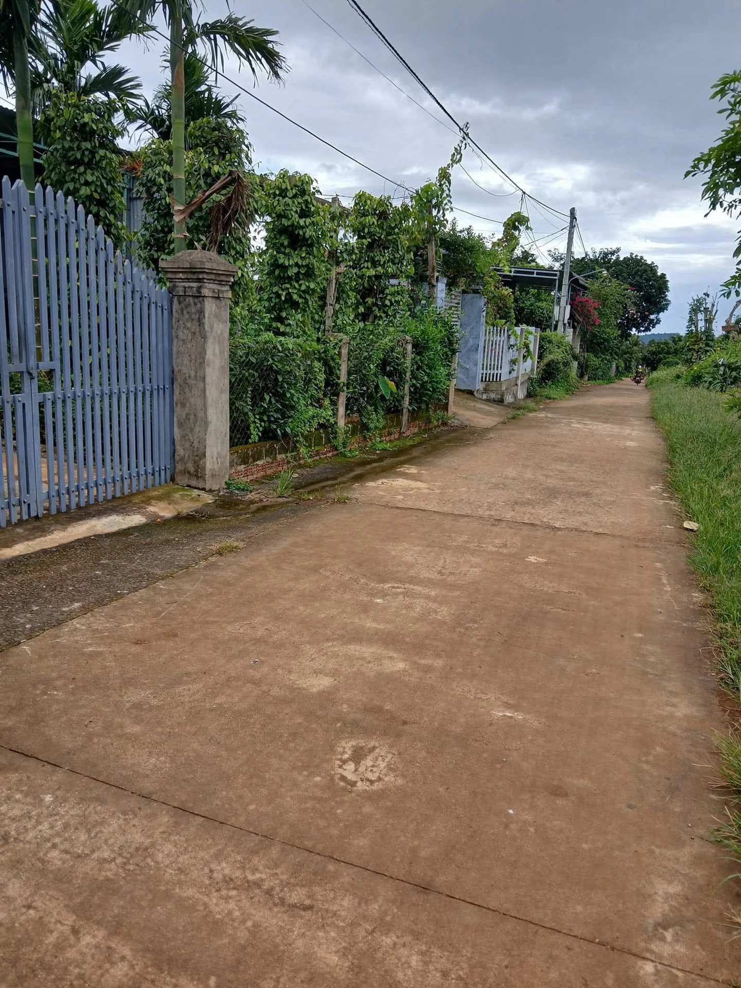 Bán đất Đức Mạnh 6x32m, 192m², 850 triệu - Ảnh 1
