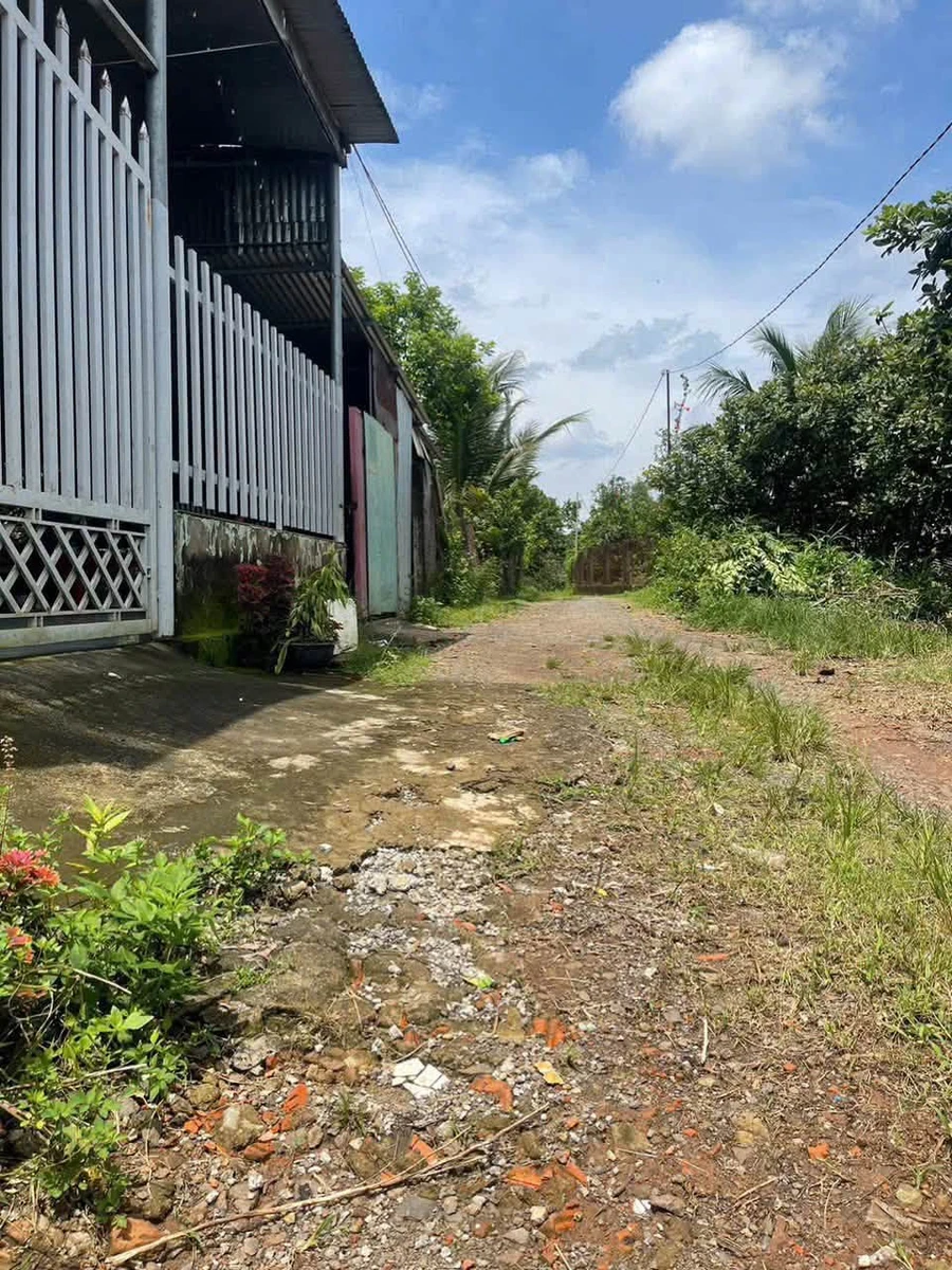 Bán đất 240m² sổ riêng Dầu Giây Đồng Nai 580 triệu - Ảnh thu nhỏ 4