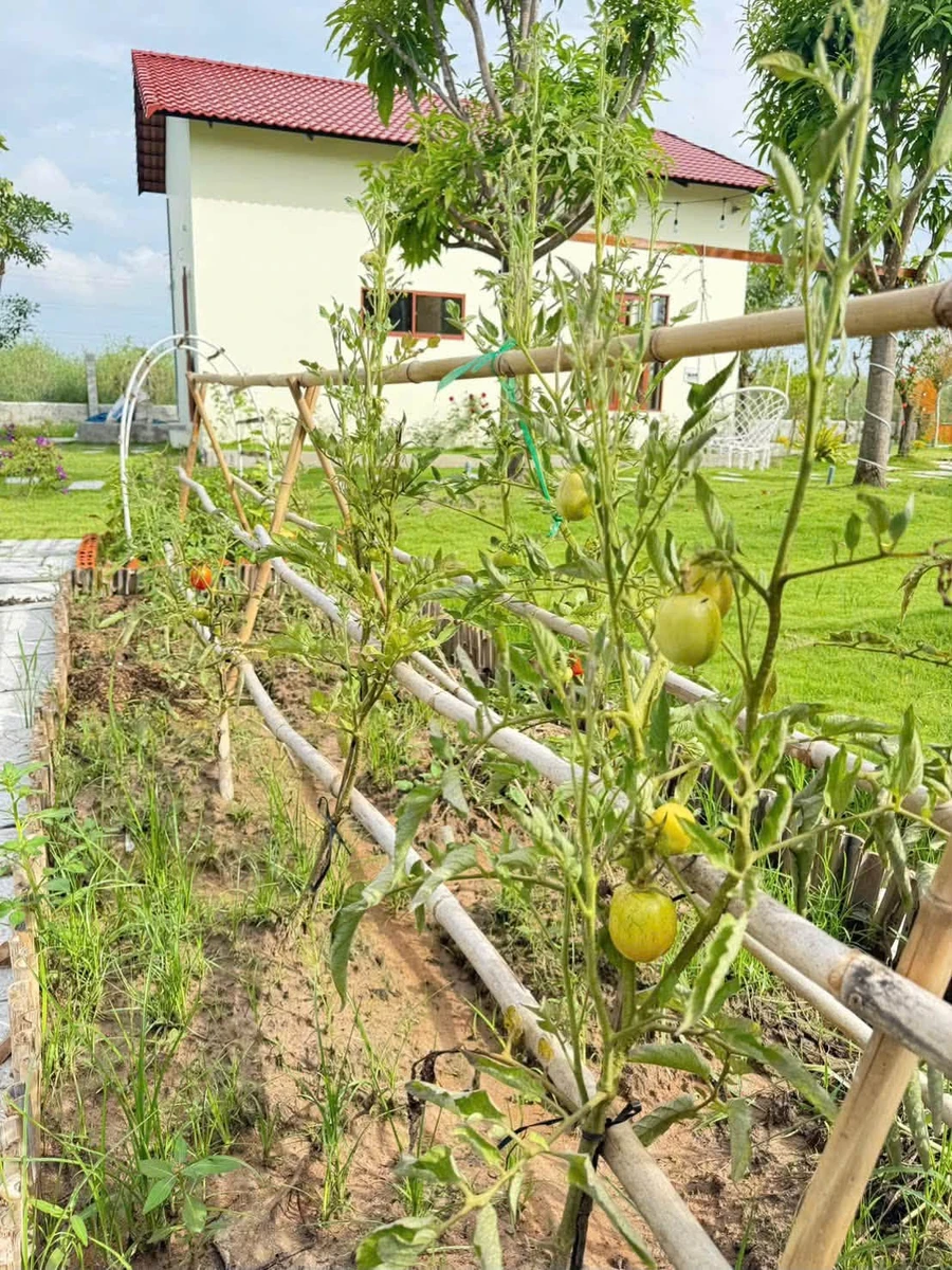 Nhà vườn 1 phòng ngủ 1.600m² Hàm Chính 1 tỷ 790 - Ảnh thu nhỏ 5