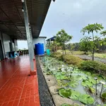 Bán nhà vườn 1000m2 giá 1,15 tỷ tại Long An - Ảnh thu nhỏ 1
