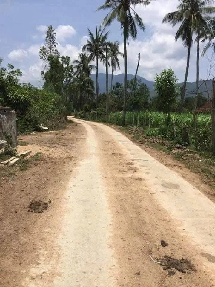 Bán lô đất 7200m² ngang 62m tại Bình Định - Ảnh thu nhỏ 2