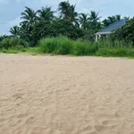 Bán đất vườn 1.650m² (600m² thổ cư) Đồng Tháp 4,2 tỷ - Ảnh thu nhỏ 5