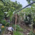 Bán đất Hiệp An Thủ Dầu Một 90m² giá 1,950 triệu - Ảnh thu nhỏ 5