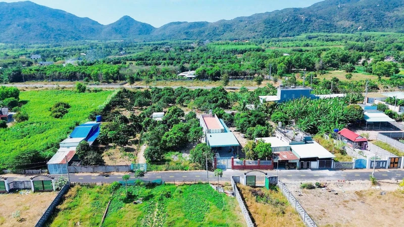 Bán vườn xoài Phước Hải 2000m2, view núi, 7.2 tỷ