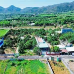 Bán vườn xoài Phước Hải 2000m2, view núi, 7.2 tỷ - Ảnh thu nhỏ 1