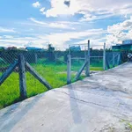 Bán 850m² đất cây trồng Hàm Liêm, Bình Thuận - Ảnh thu nhỏ 4
