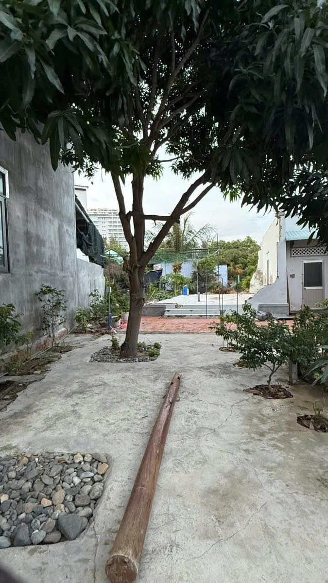 Bán đất biển 141m² đường Trịnh Hoài Đức, Phan Rang - Ảnh thu nhỏ 2