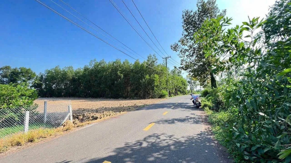 Bán đất mặt tiền Phạm Hùng 1441m2 ngang 20m gần KCN Đất Đỏ, Bà Rịa - Vũng Tàu - Ảnh thu nhỏ 4